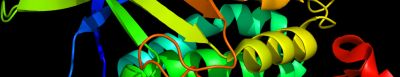 DNA ribbons