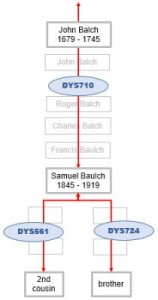 Baulch Y DNA mutations