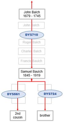 Baulch Y DNA mutations