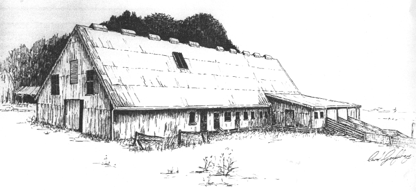 Dunmore wool shed