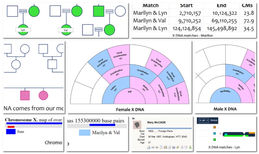 The X Chromosome – Planning and Indulgence